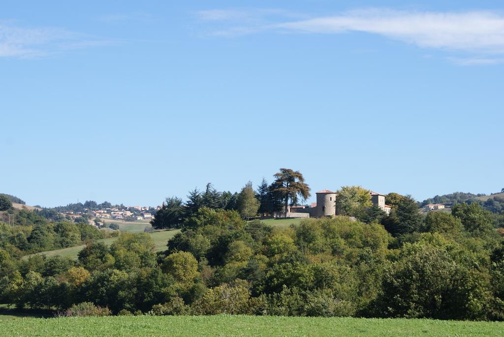 Chateau Du Besset Saint-Romain-de-Lerps Bagian luar foto