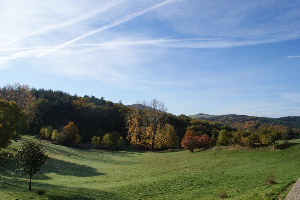 Chateau Du Besset Saint-Romain-de-Lerps Bagian luar foto